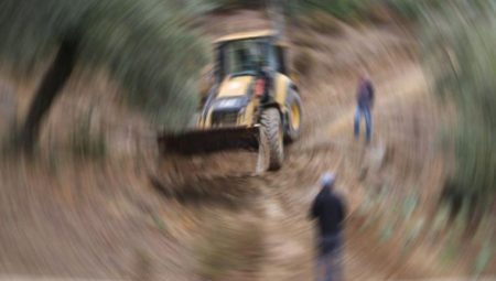 İktidar Meclis’e 41 unsurluk ‘orman’ teklifi sundu, yeni 2B geliyor